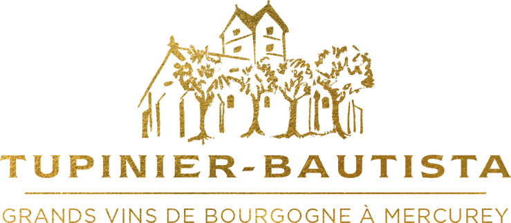 Domaine Tupinier-Bautista à Mercurey - Grands vins de Bourgogne